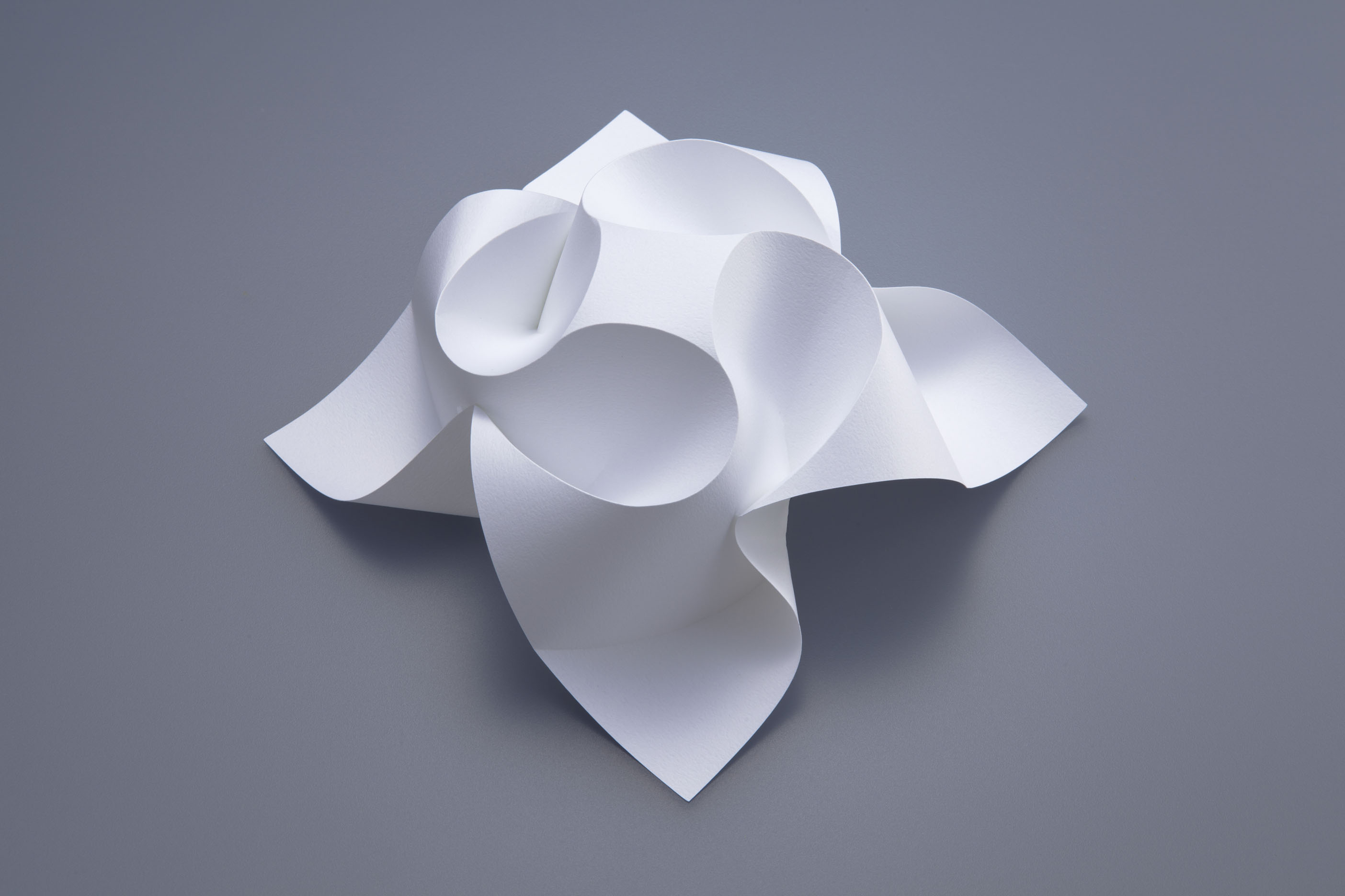 曲線折り紙デザイン 特設ページ