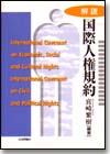 解説・国際人権規約画像