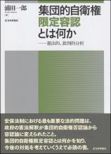 集団的自衛権限定容認とは何か画像