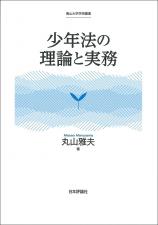 少年法の理論と実務画像